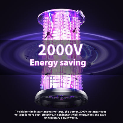 2in1 Mosquito & Fly Catcher